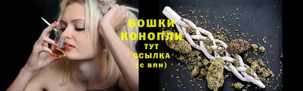 индика Балабаново