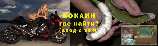 индика Балабаново