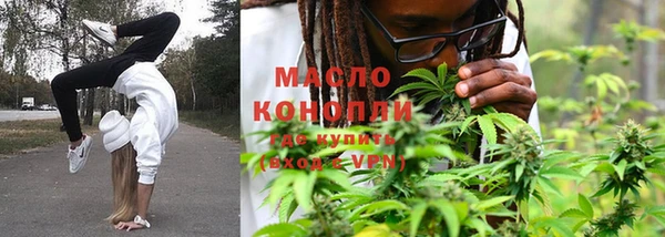 индика Балабаново