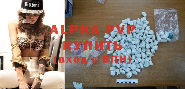 индика Балабаново